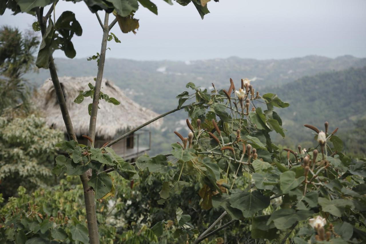 Taorayina Nature Lodge- Immersed In The Forest El Zaino Exterior photo