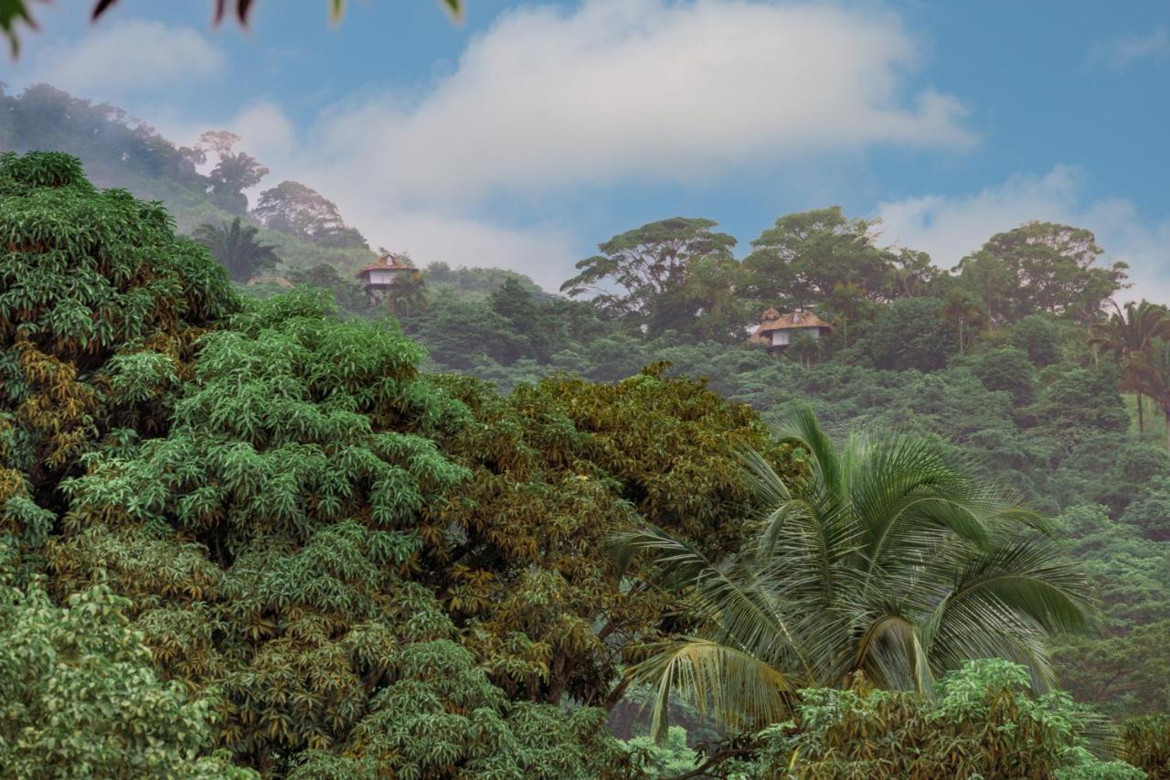 Taorayina Nature Lodge- Immersed In The Forest El Zaino Exterior photo