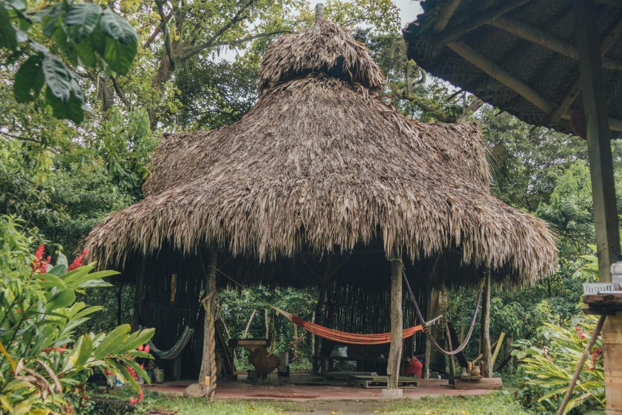 Taorayina Nature Lodge- Immersed In The Forest El Zaino Exterior photo